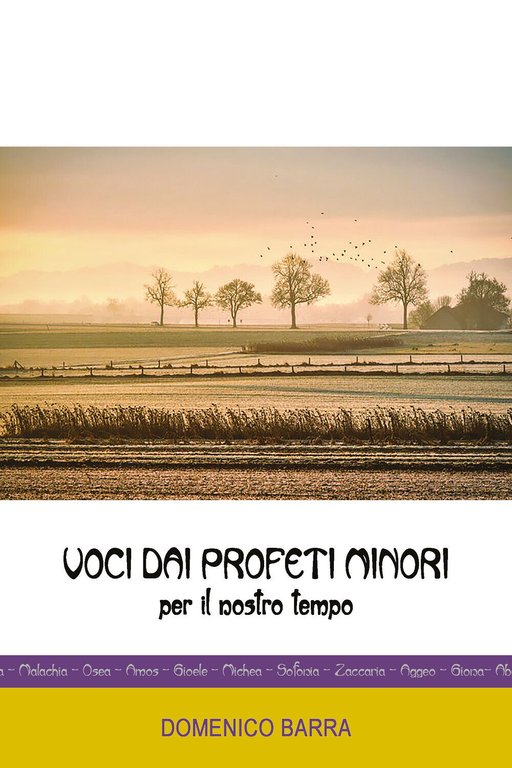 Voci dai Profeti Minori di Domenico Barra, 2021, Youcanprint