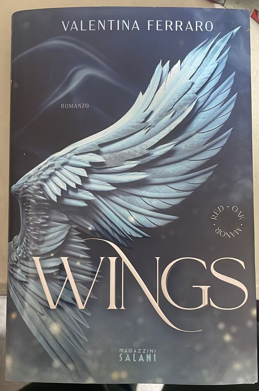 Wings di Valentina Ferraro, 2023, Magazzini Salani