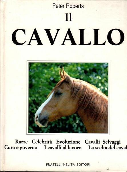 Il cavallo