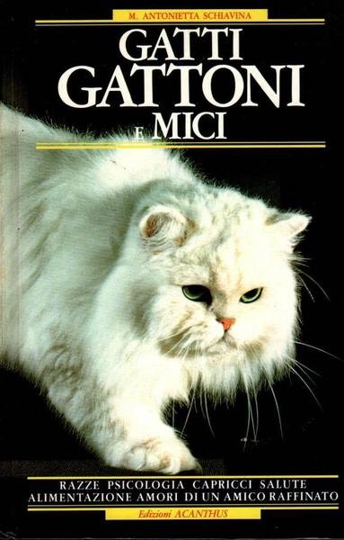 Gatti gattoni e mici