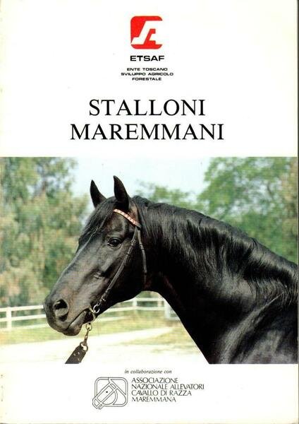 Stalloni Maremmani