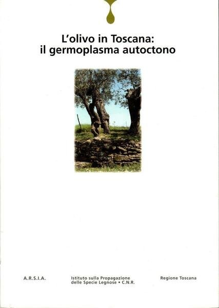 L'olivo in Toscana: il germoplasma autoctono