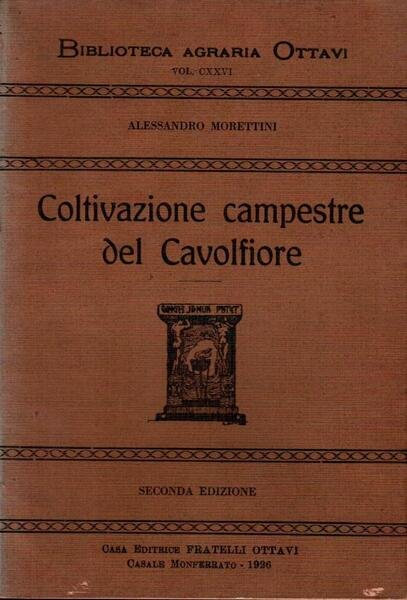 Coltivazione campestre del Cavolfiore