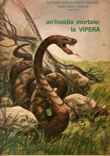 Un'insidia mortale: la Vipera