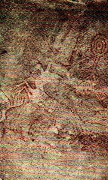 Poesie degli Indios Piaroa