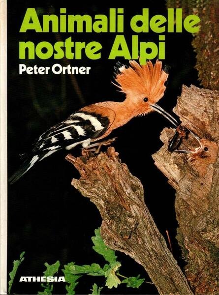 Animali delle nostre Alpi