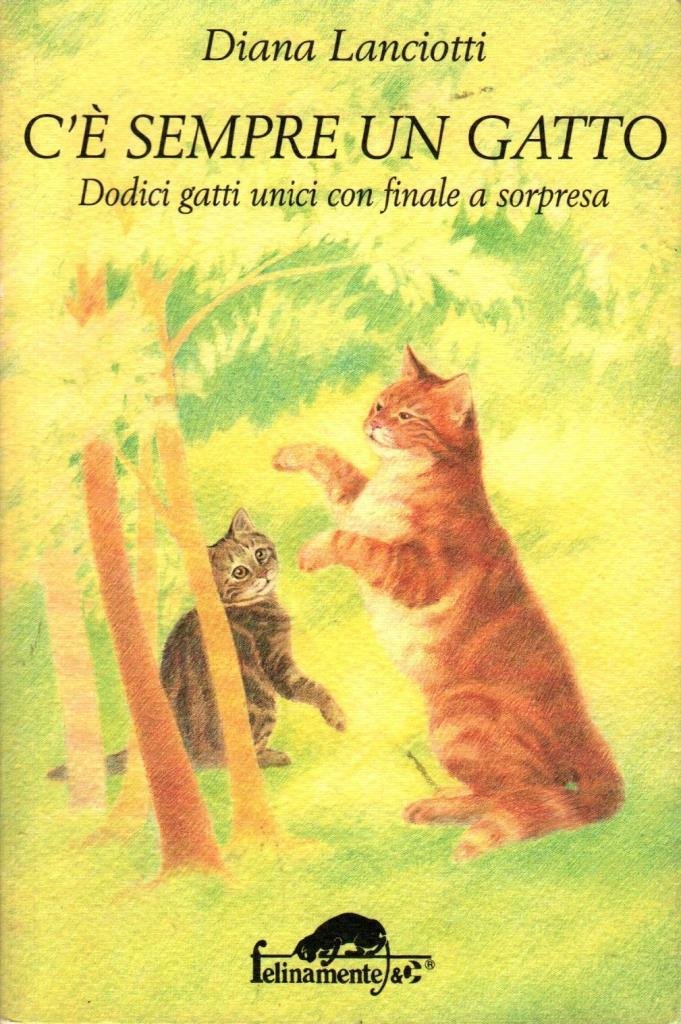 C'è sempre un gatto