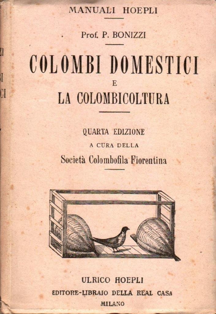 Colombi domestici e la colombicoltura