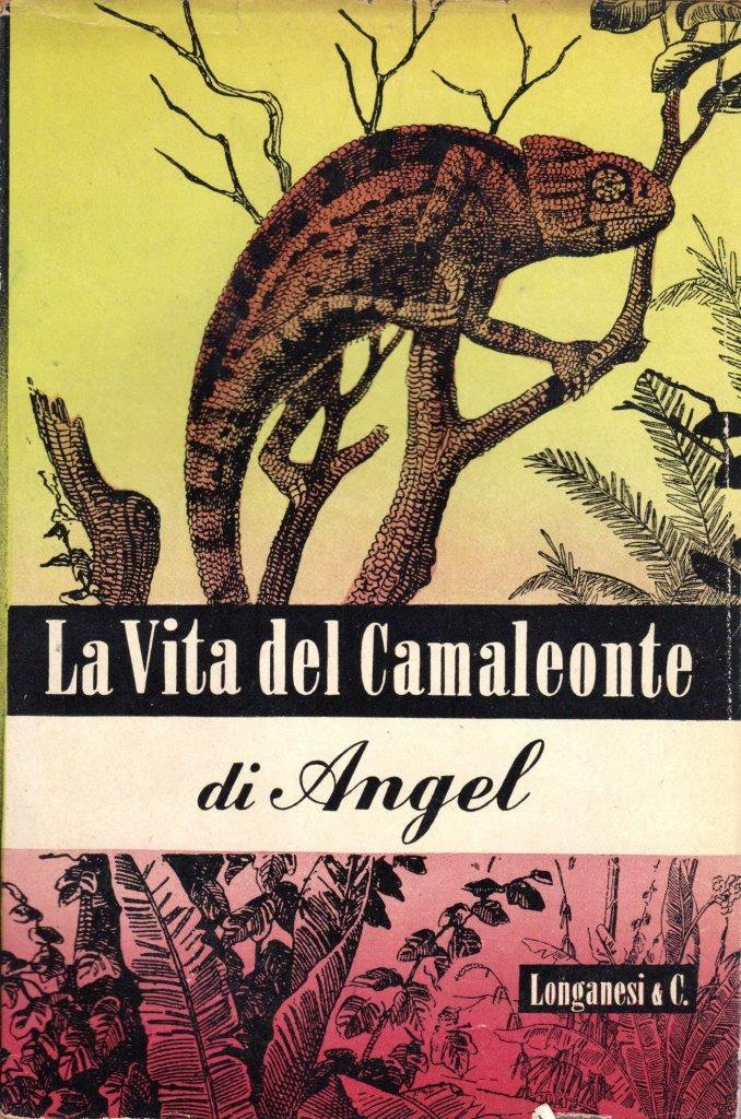 La vita del Camaleonte