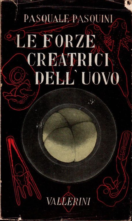 Le forze creatrici dell'uovo