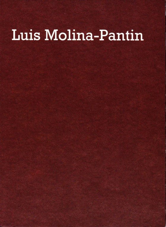 Luis Molina-Pantin