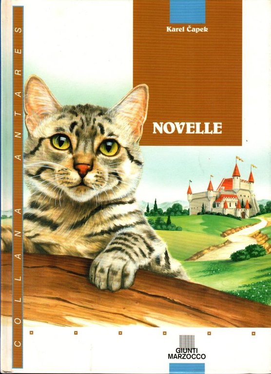 Novelle