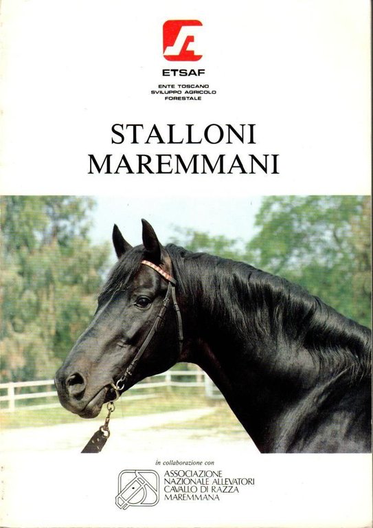 Stalloni Maremmani