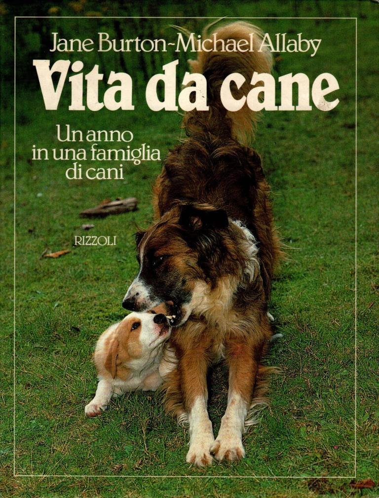 Vita da cane