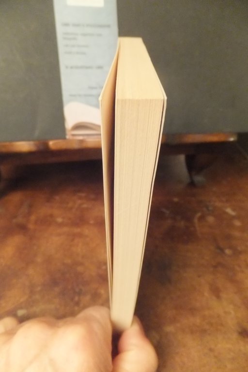 6 SAGGI E 6 RISPOSTE SU PROUST E SUL ROMANZO … | Immagine Gallery 5