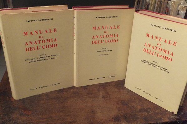 MANUALE DI ANATOMIA DELL'UOMO - VOLUME I OSTEOLOGIA - ARTROLOGIA …
