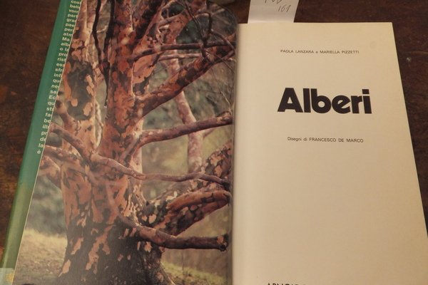 ALBERI
