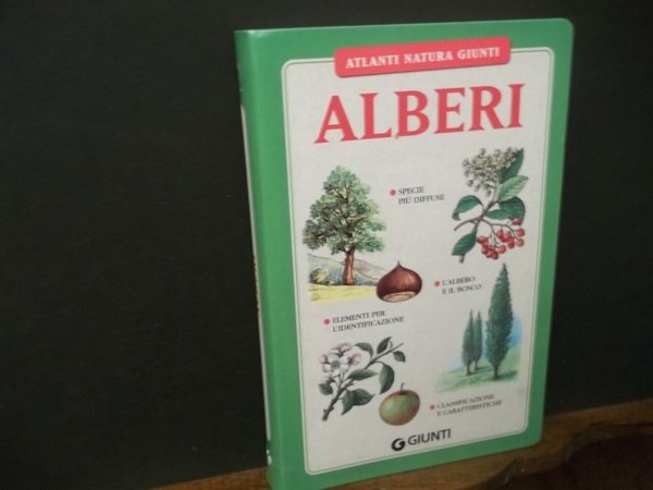 ALBERI ATLANTI NATURA GIUNTI