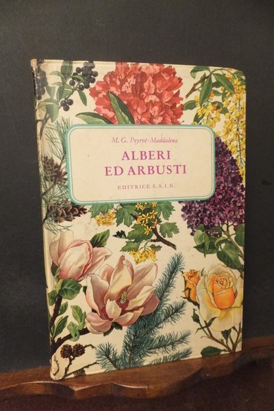 alberi ed arbusti