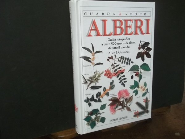 ALBERI GUIDA FOTOGRAFICA A OLTRE 500 SPECIE DI ALBERI DI …