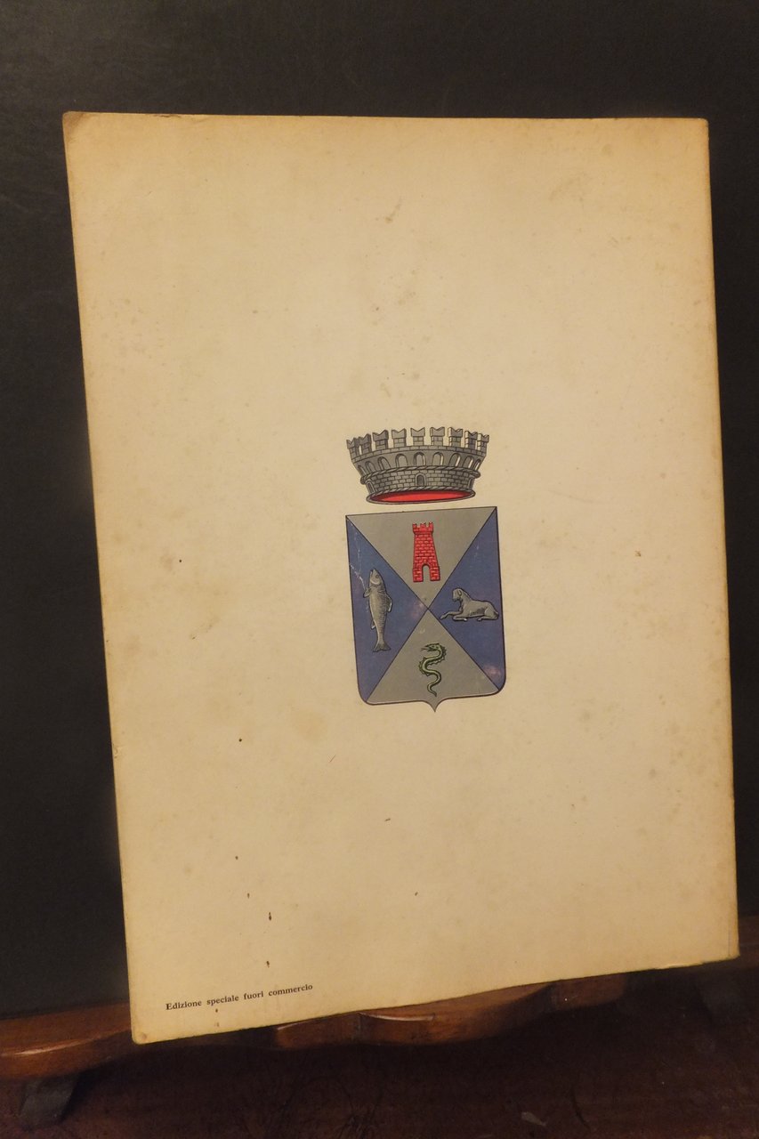 ALL'OMBRA DI SAN MARTINO BRUSIMPIANO E LA SUA STORIA GIAMPIERO …