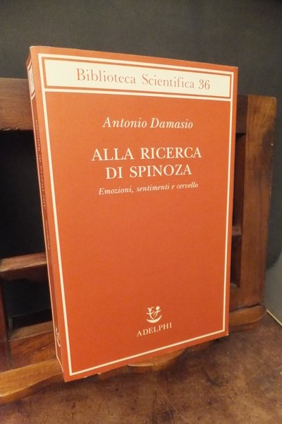 ALLA RICERCA DI SPINOZA