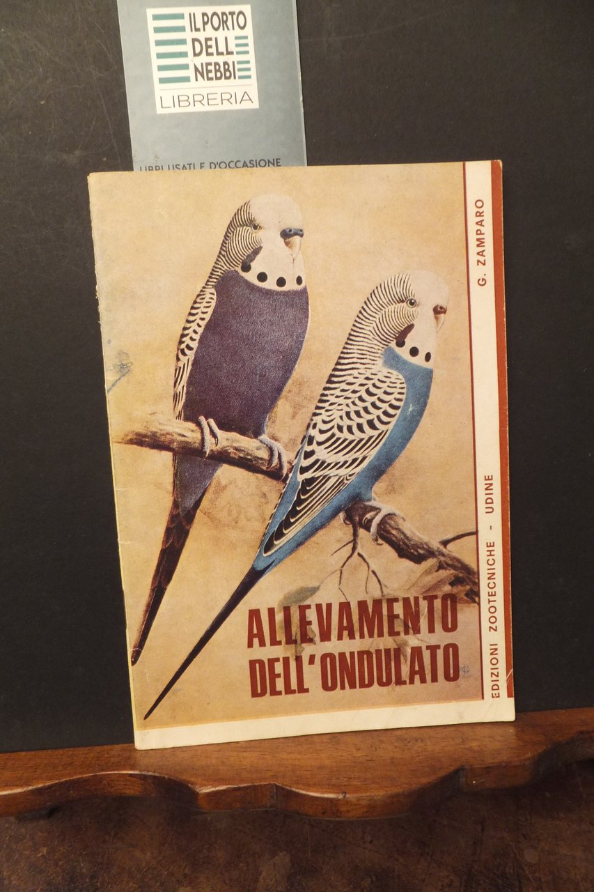 ALLEVAMENTO DELL'ONDULATO G. ZAMPARO | Immagine principale