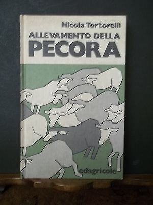 ALLEVAMENTO DELLA PECORA