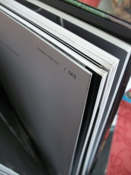 ANNE GEDDES L'AUTOBIOGRAFIA UN LAVORO D'AMORE