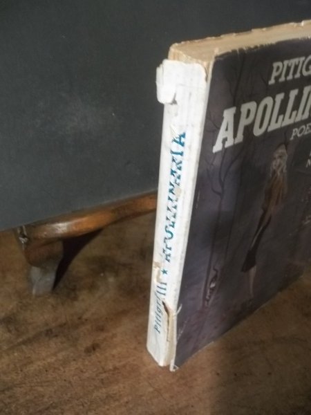 APOLLINARIA POEMETTO SEGUITO DA CINQUE NOVELLE | Immagine Gallery 4