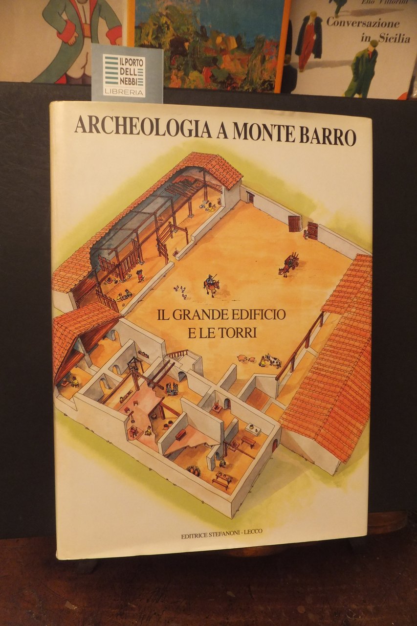 ARCHEOLOGIA A MONTEBARRO I IL GRADE EDIFICIO E LE TORRI | Immagine principale