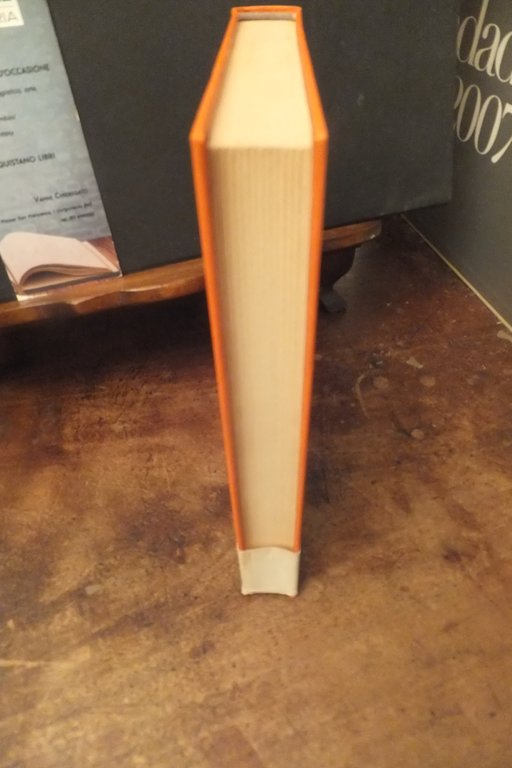 ARNOLFINI GIAN LUIGI PICCOLI