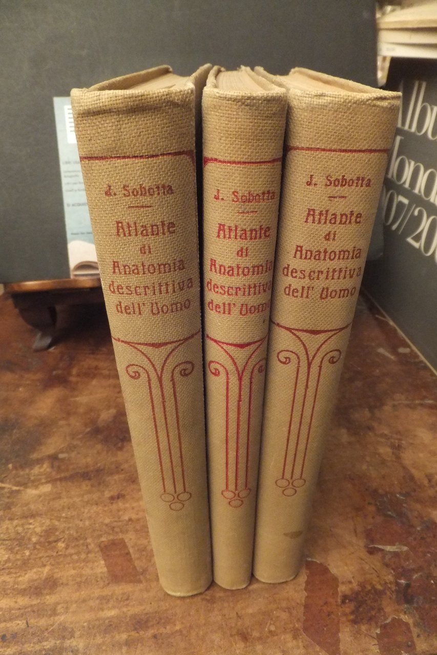 ATLANTE DI ANATOMIA DESCRITTIVA DELL'UOMO J. SOBOTA 1906 | Immagine principale