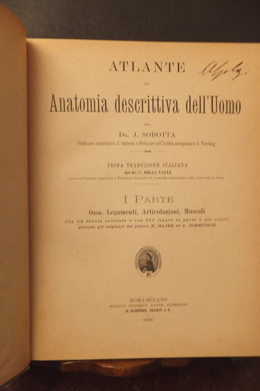 ATLANTE DI ANATOMIA DESCRITTIVA DELL'UOMO J. SOBOTA 1906 | Immagine Gallery 5