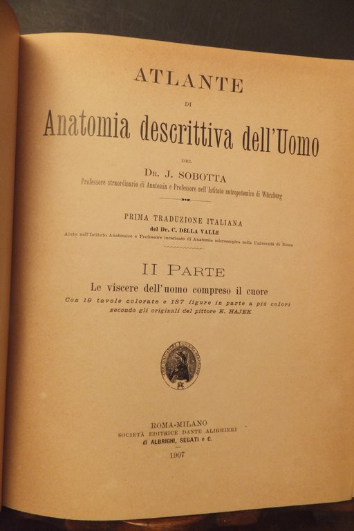 ATLANTE DI ANATOMIA DESCRITTIVA DELL'UOMO J. SOBOTA 1906 | Immagine Gallery 6