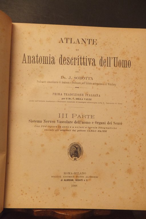 ATLANTE DI ANATOMIA DESCRITTIVA DELL'UOMO J. SOBOTA 1906 | Immagine Gallery 8