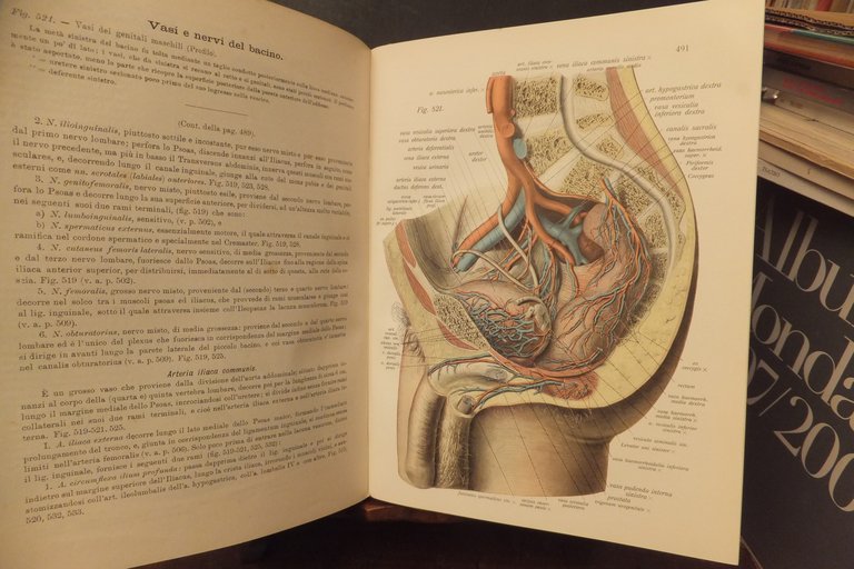 ATLANTE DI ANATOMIA DESCRITTIVA DELL'UOMO J. SOBOTA 1906 | Immagine Gallery 9