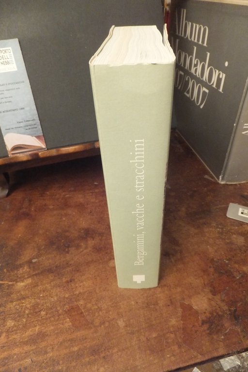 BERGAMINI VACCHE E STRACCHINI VENTIQUATTRO RACCONTI DI MALGHESI