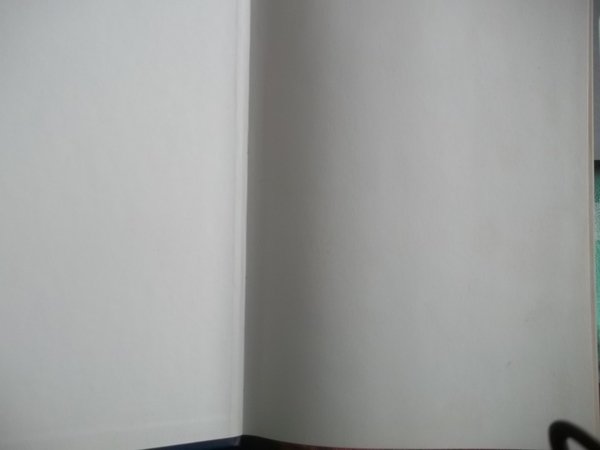 BRAUNAU 1915 - 1918 I PROFUGHI DI LAVARONE E DEL …