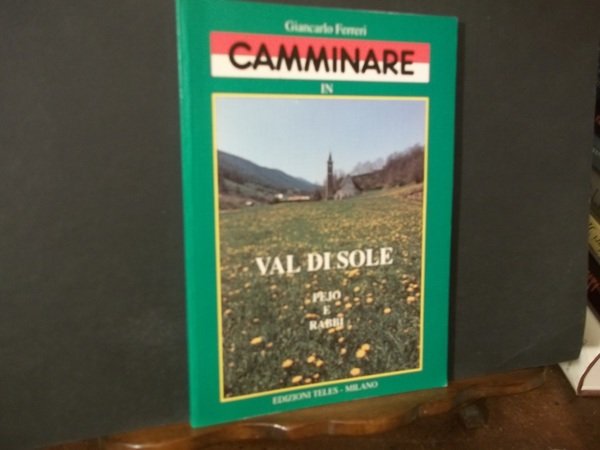 CAMMINARE IN VAL DI SOLE PEJO E RABBI | Immagine principale