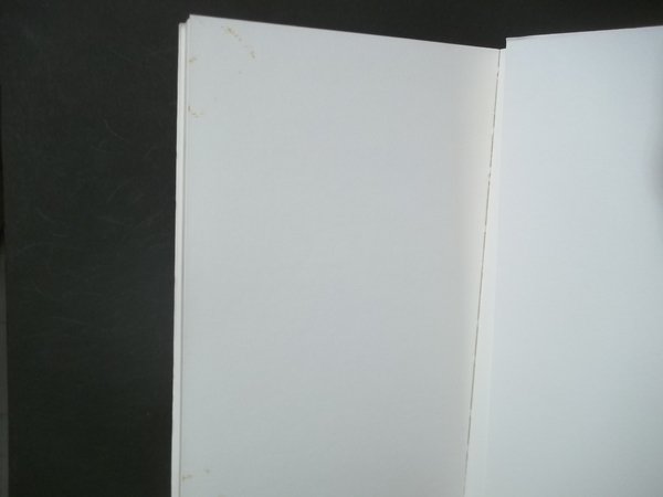 CANTICO PER PENTESILEA