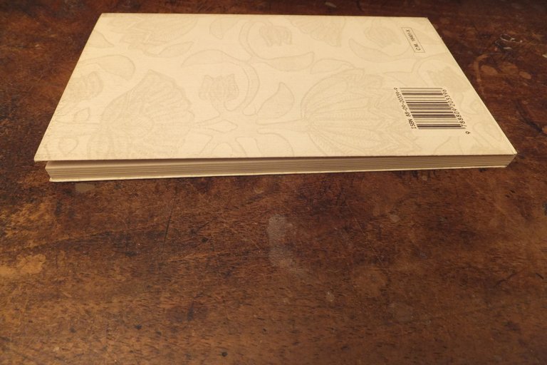 CARO DIEGO TI ABBRACCIA QUIELA ELENA PONIATOWSKA