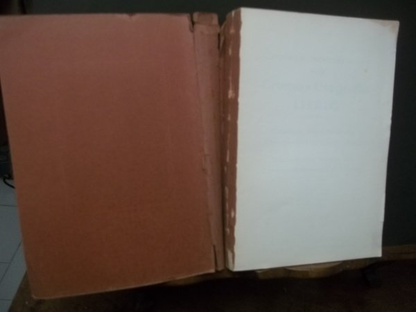 CATALOGO INTERNAZIONALE FADA | Immagine Gallery 2