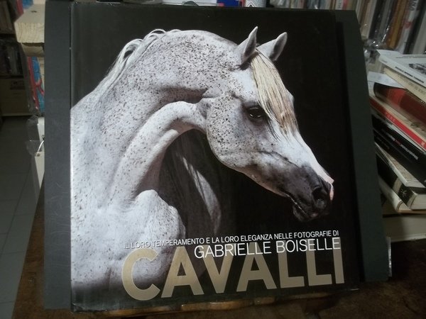 CAVALLI IL LORO TEMPERAMENTO E LA LORO ELEGANZA NELLE FOTOGRAFIE …