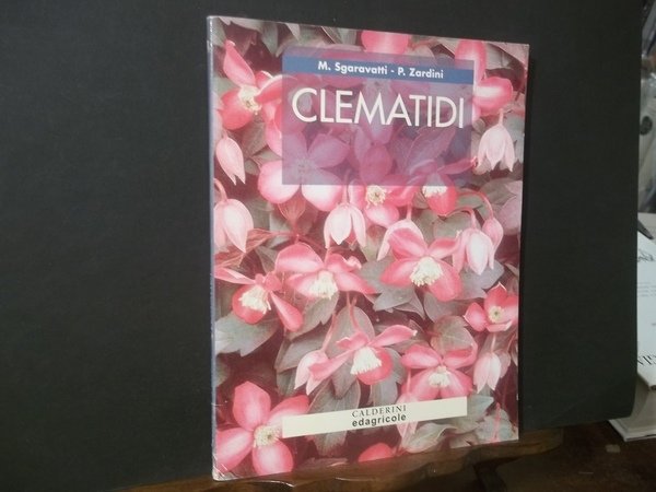 CLEMATIDI