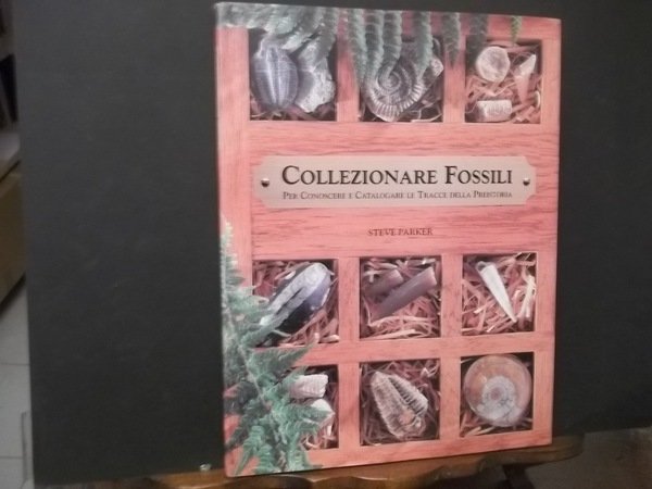 COLLEZIONARE FOSSILI