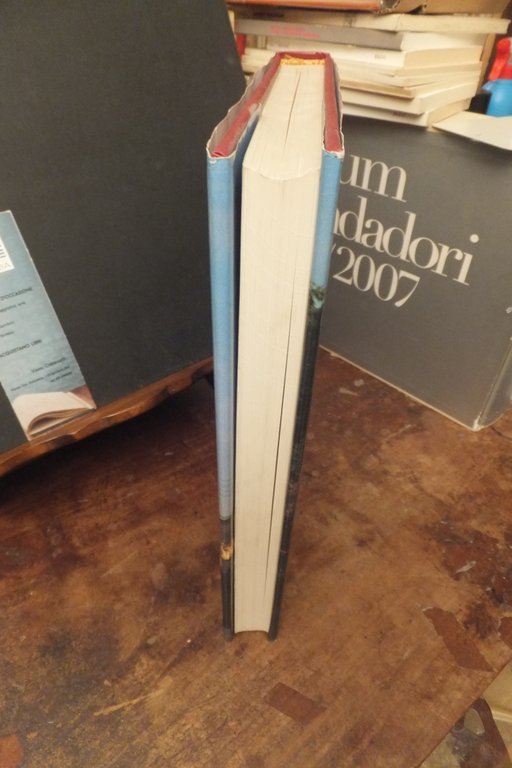 COLOGNO AL SERIO L. LIZZARI S. MILESI | Immagine Gallery 3