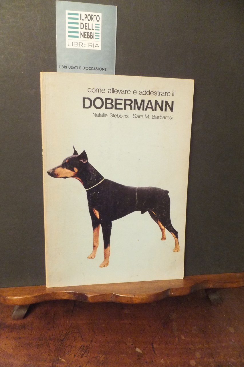 COME ALLEVARE E ADDESTRARE IL DOBERMANN | Immagine principale