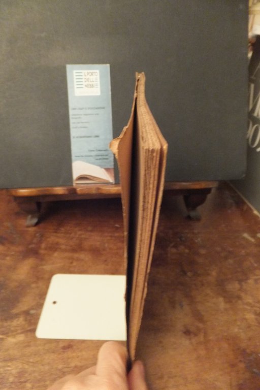 COME NUTRIREI ED EDUCHEREI IL POINTER IDELFONSO STANGA