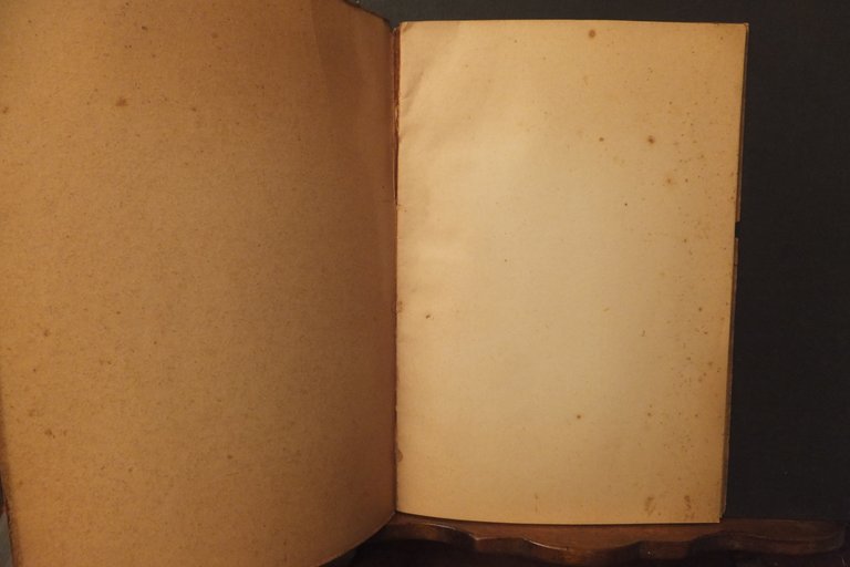 COME NUTRIREI ED EDUCHEREI IL POINTER IDELFONSO STANGA